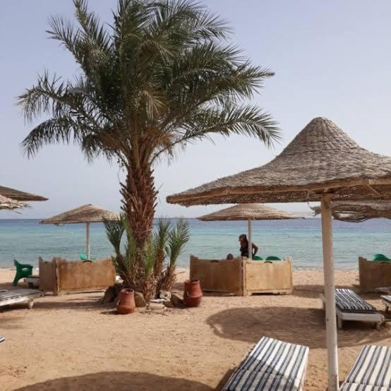Charming Crib Pool Beach Gym Spa Apartament